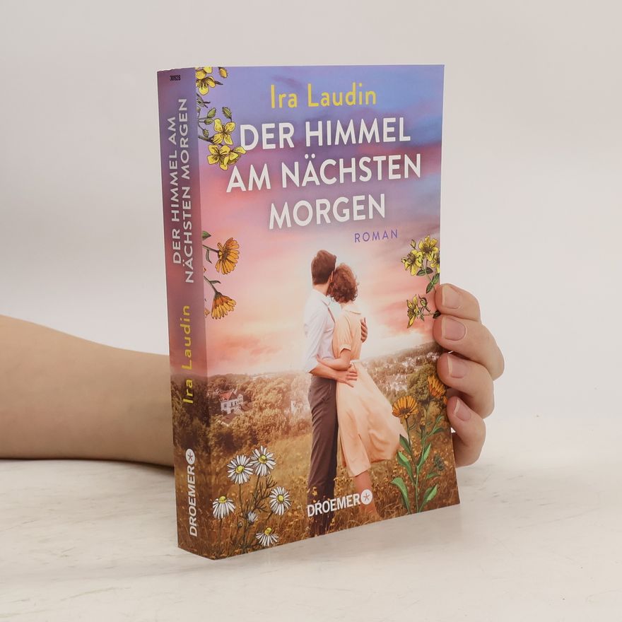 Ira Laudin Der Himmel am nächsten Morgen