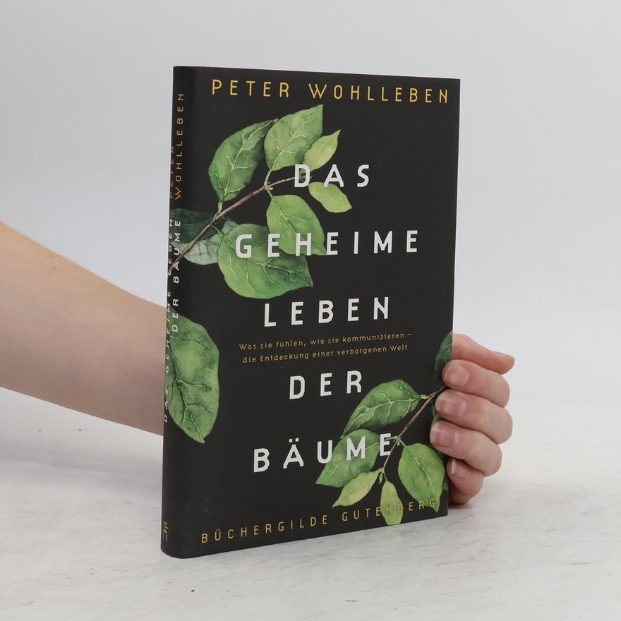 Peter Wohlleben Das geheime Leben der Bäume