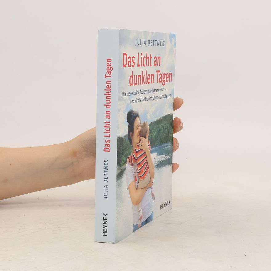 Julia Dettmer Das Licht an dunklen Tagen