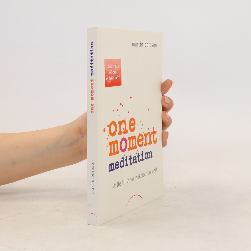 Martin Boroson One Moment Meditation
