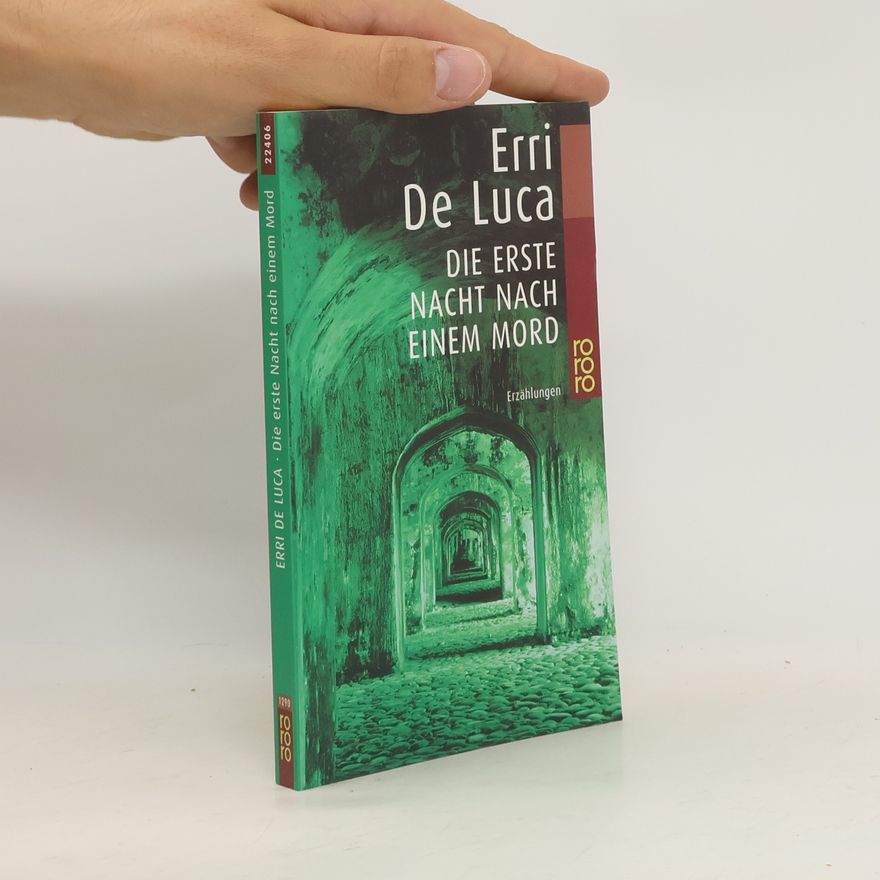 Erri De Luca Die erste Nacht nach einem Mord. Erzählungen