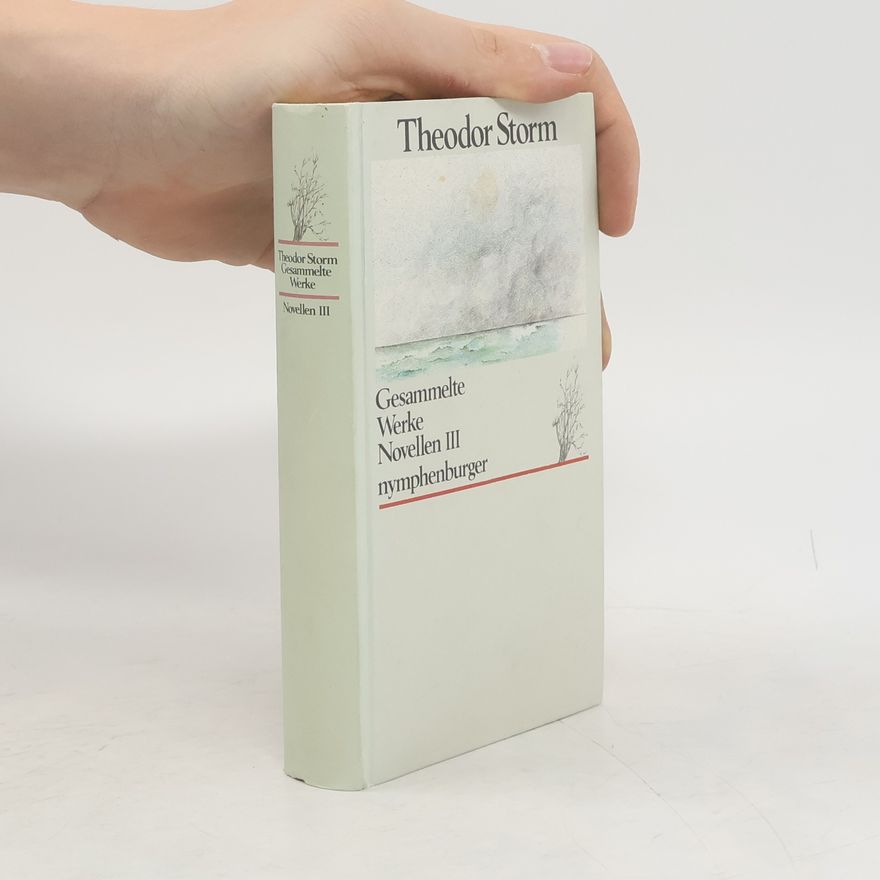 Theodor Storm Gesammelte Werke: Novellen III