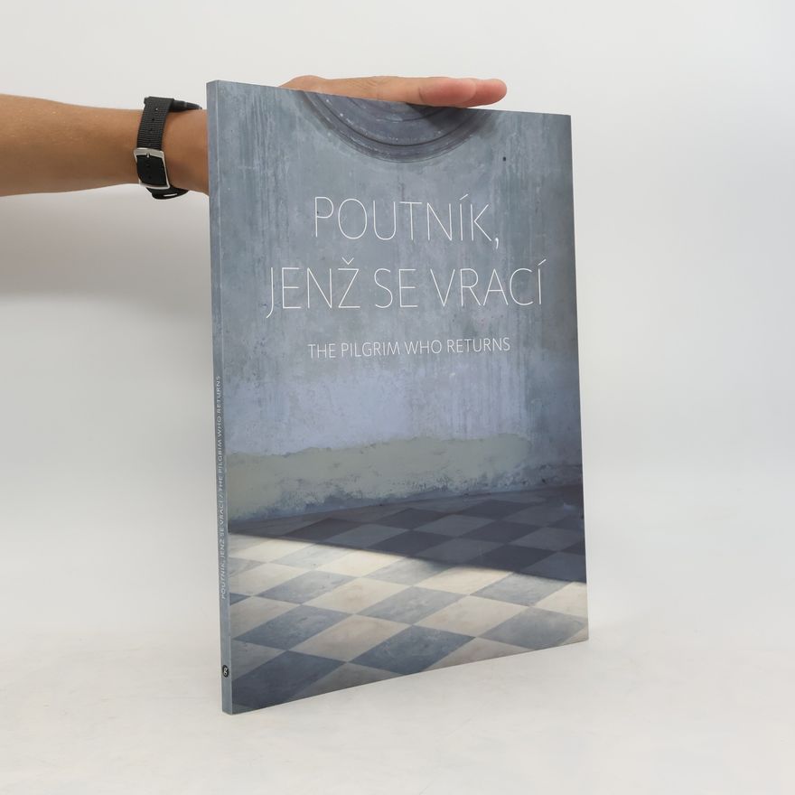 Česko Kostel Zvěstování Panny Marie Litoměřice Poutník, jenž se vrací