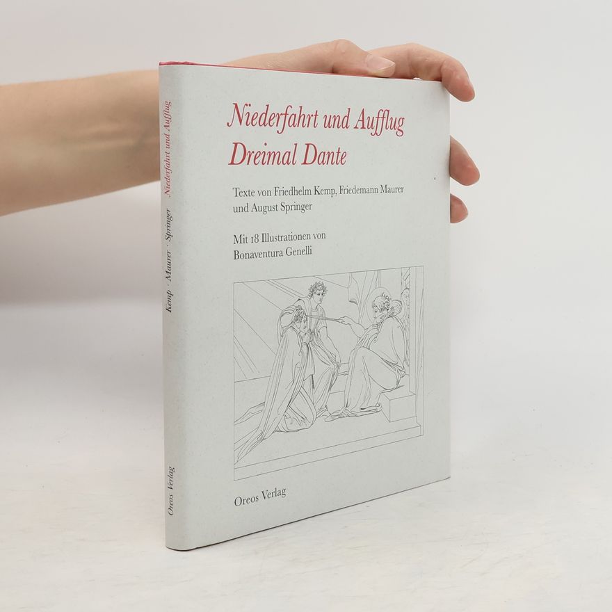 August Springer Niederfahrt und Aufflug - dreimal Dante