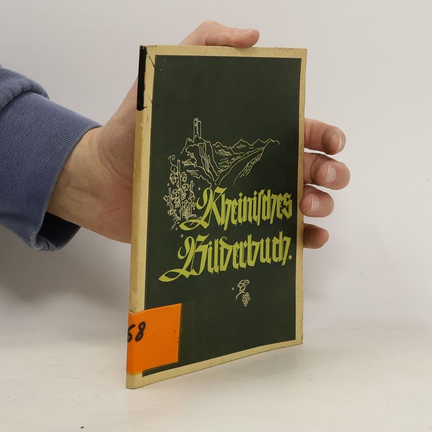 Kolektív autorov Rheinisches Bilderbuch