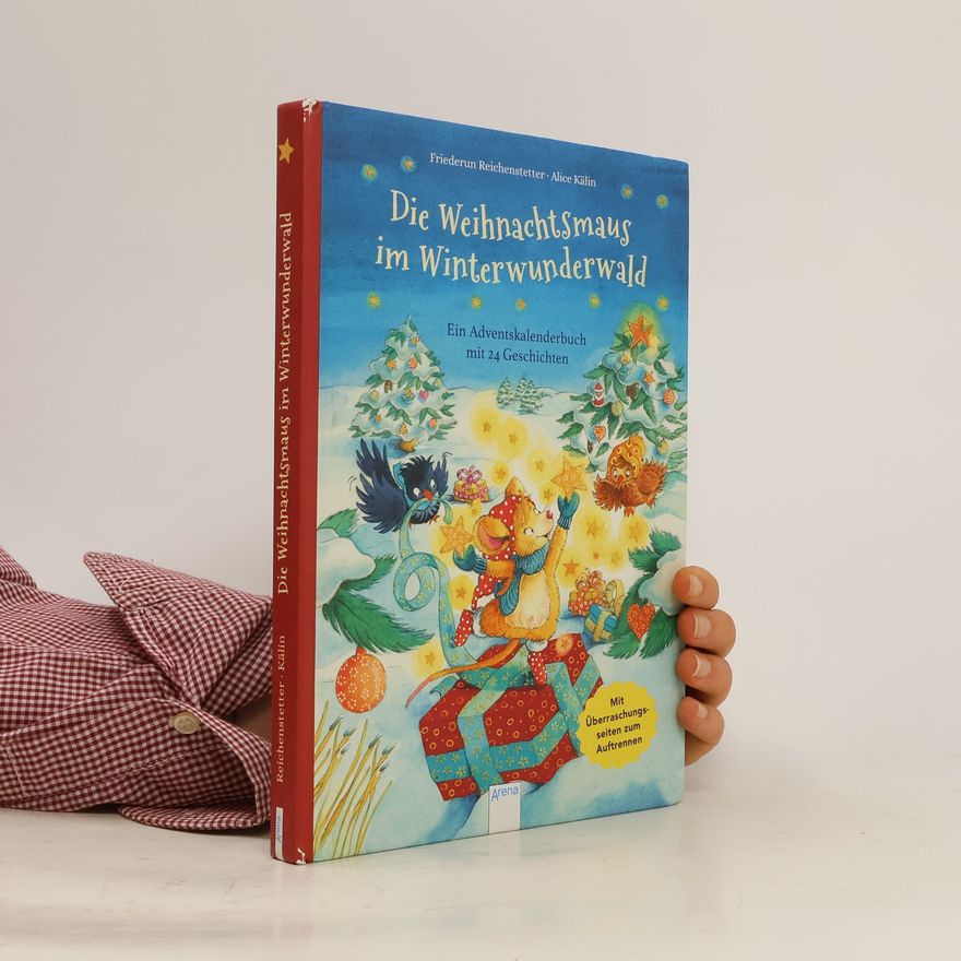 Friederun Reichenstetter Die Weihnachtsmaus im Winterwunderwald