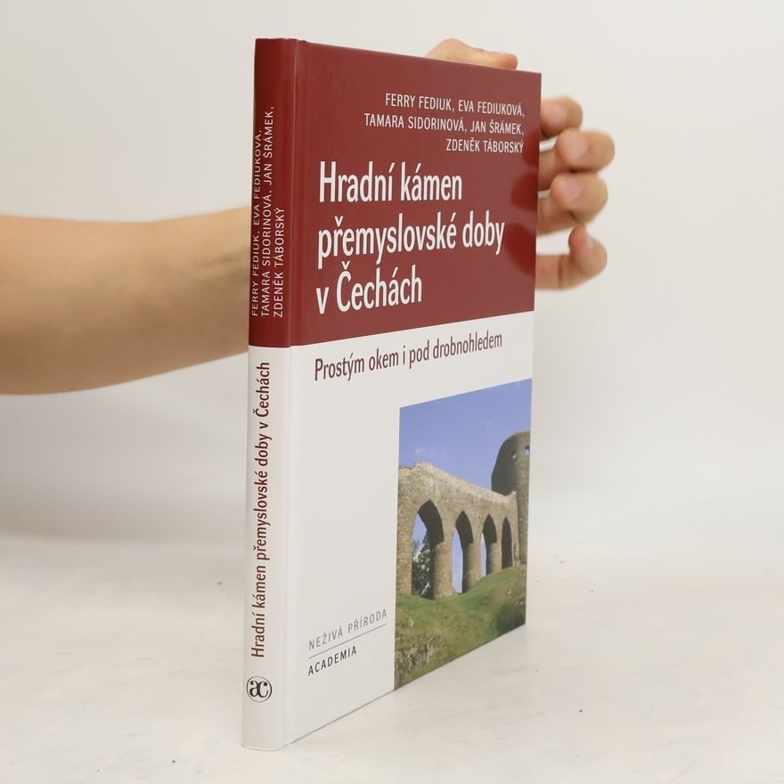 Ferry Fediuk Hradní kámen přemyslovské doby v Čechách