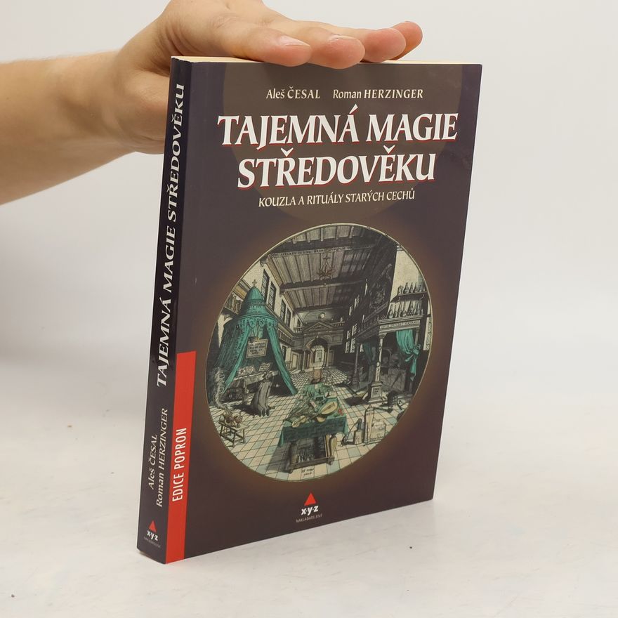 Roman Herzinger Tajemná magie středověku