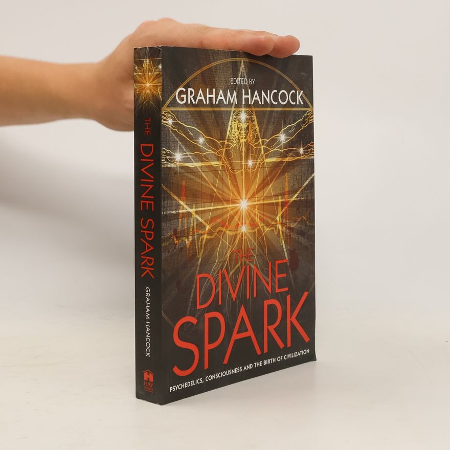 Kolektív autorov The Divine Spark