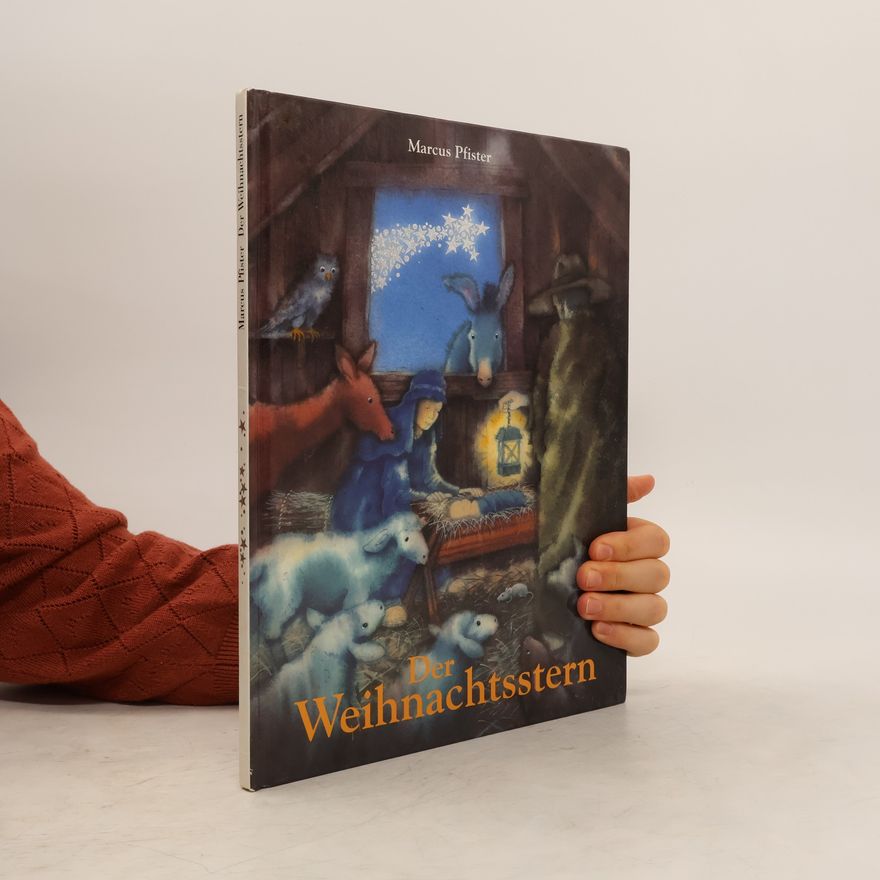 Marcus Pfister Der Weihnachtsstern