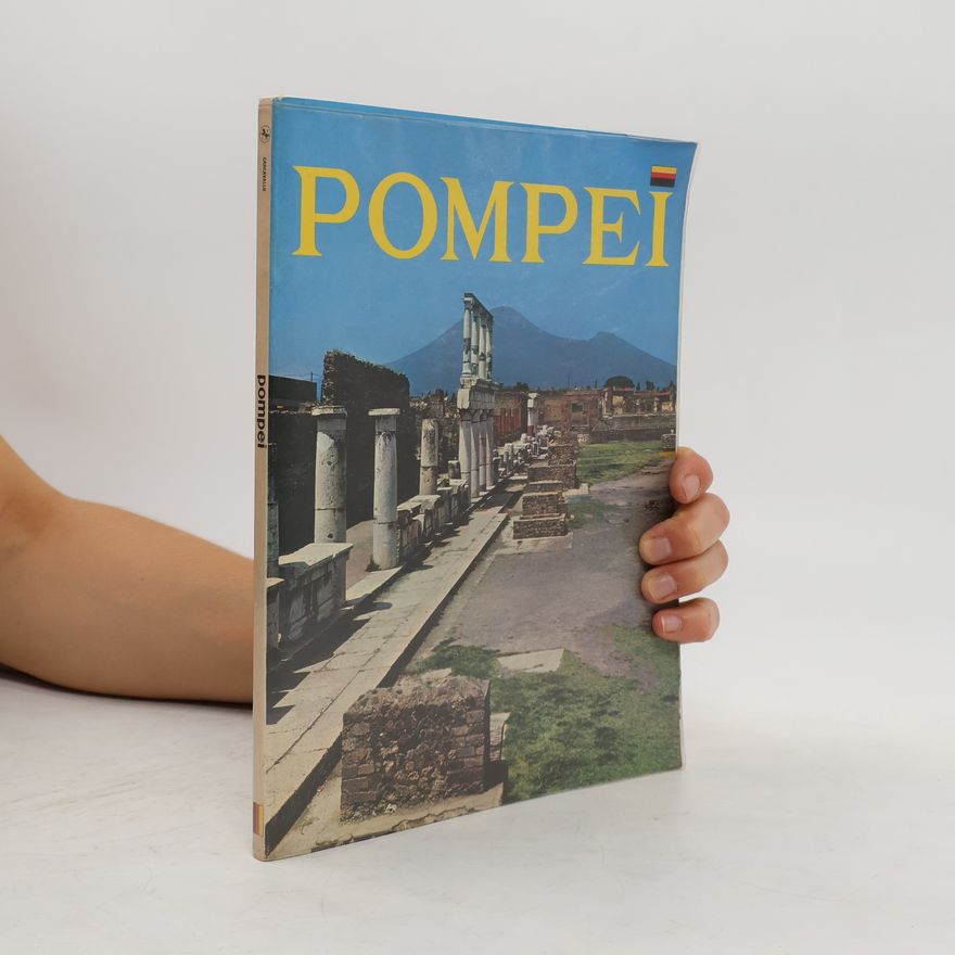 Autorenkollektiv Pompei und die begrabenen Städte