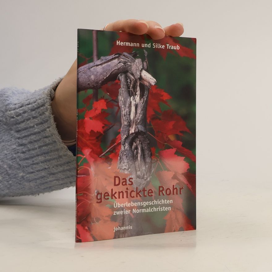 Hermann Traub Das geknickte Rohr