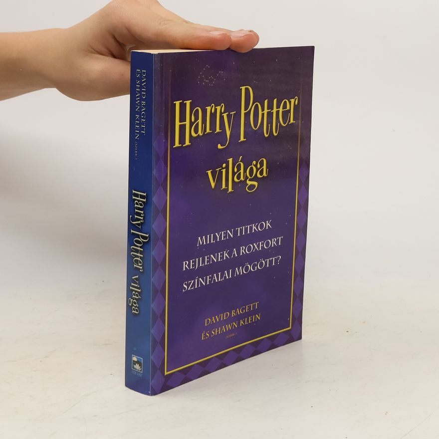David Bagett Harry Potter világa