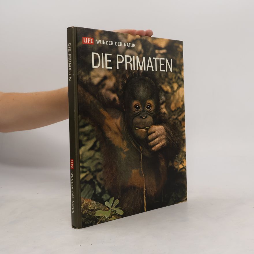 Autorenkollektiv Die Primaten