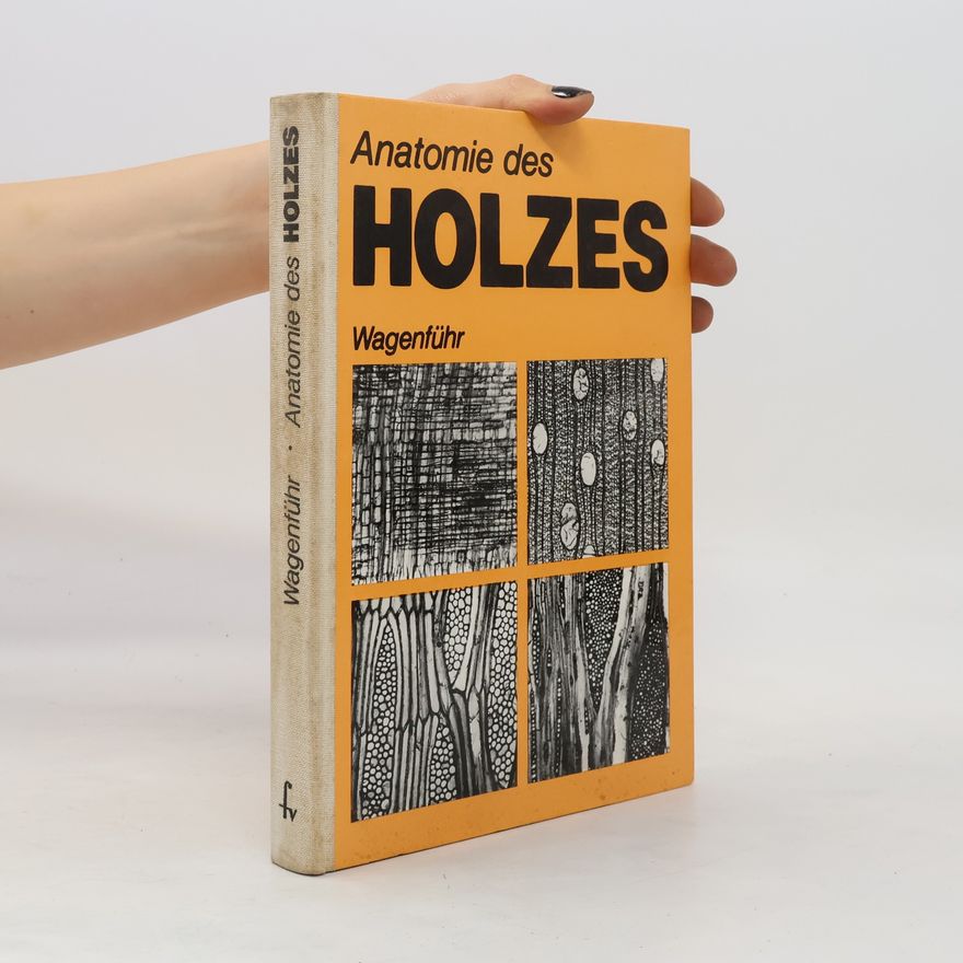 Rudi Wagenführ Anatomie des Holzes
