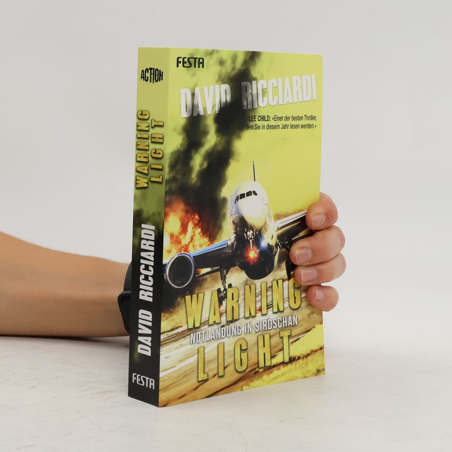 David Ricciardi Warning light - Notlandung in Sirdschan