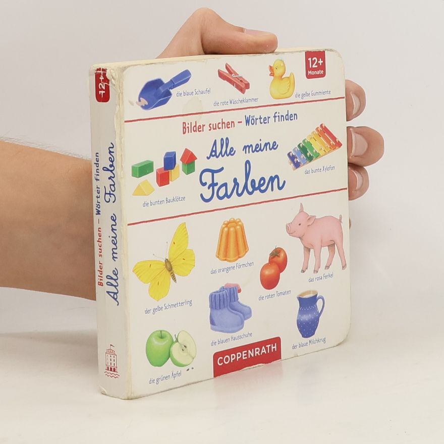 Sybille Brauer Alle meine Farben
