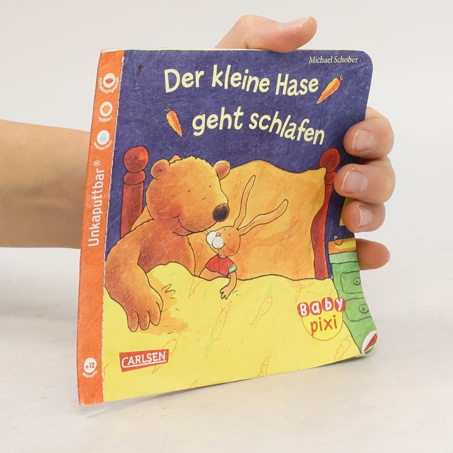Michael Schober Der kleine Hase geht schlafen