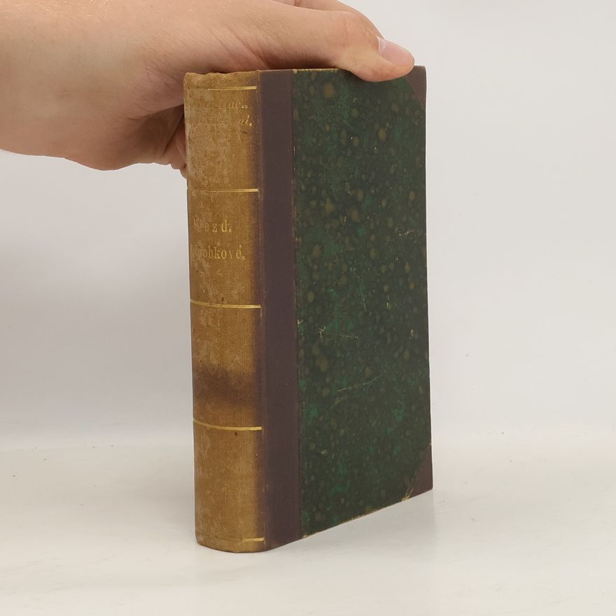 Rudolf Jaroslav Kronbauer Sjezd a jiné novelly