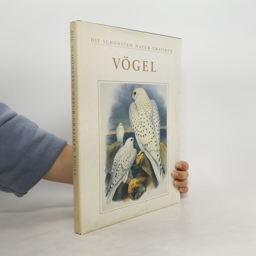 S. Peter Dance Vögel