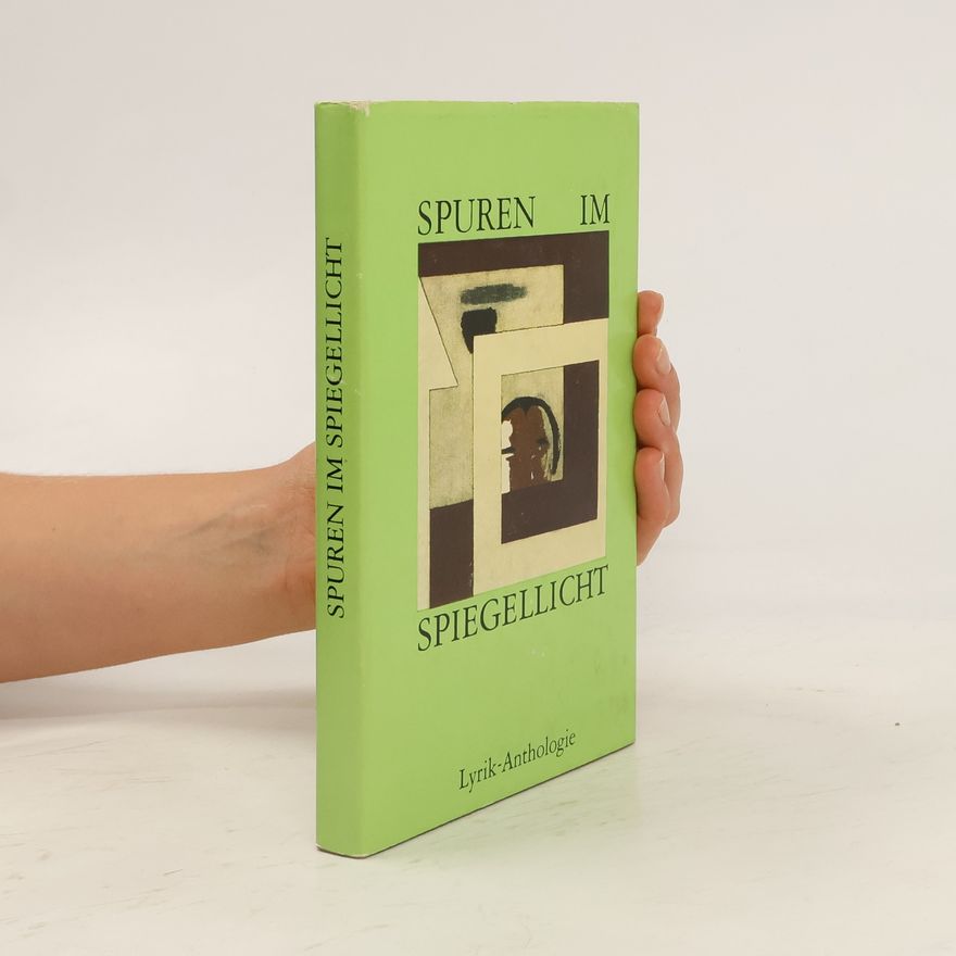 Karl Bongardt Spuren im spiegellicht