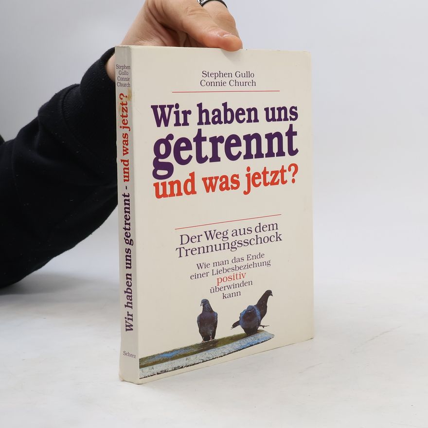 Stephen Gullo Wir haben uns getrennt - und was jetzt?