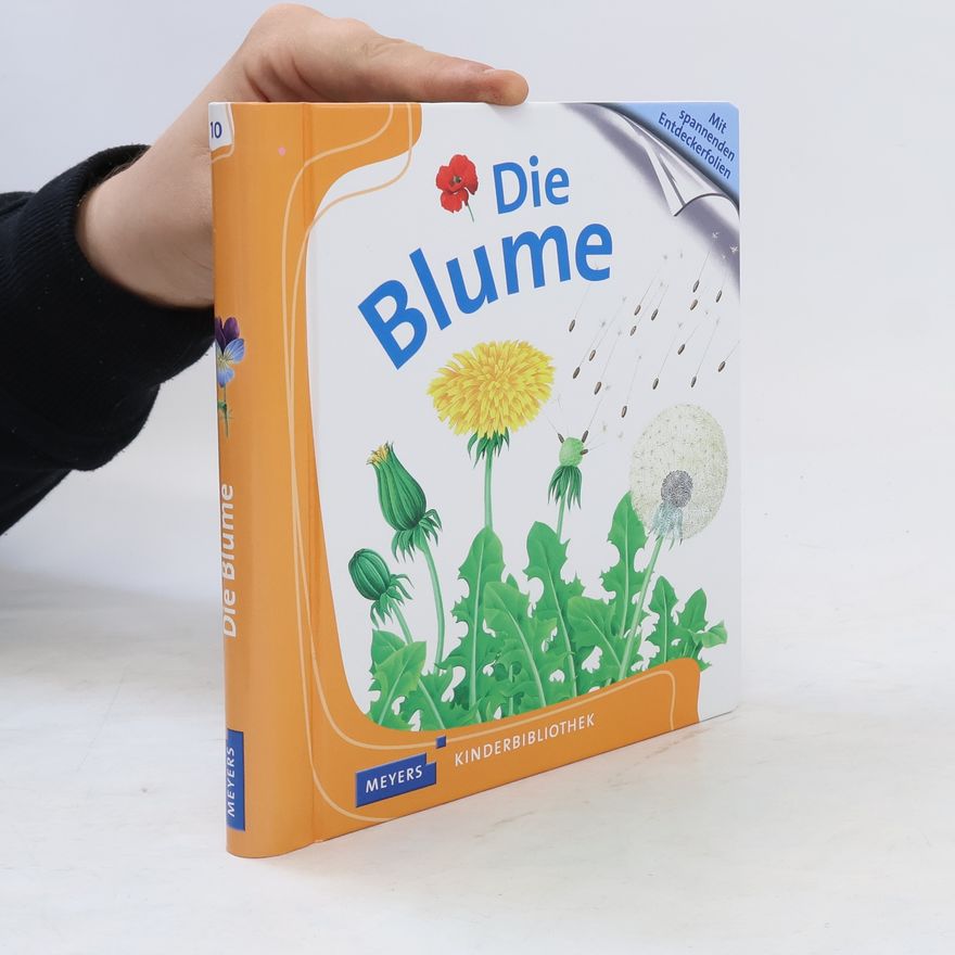René Mettler Die Blume