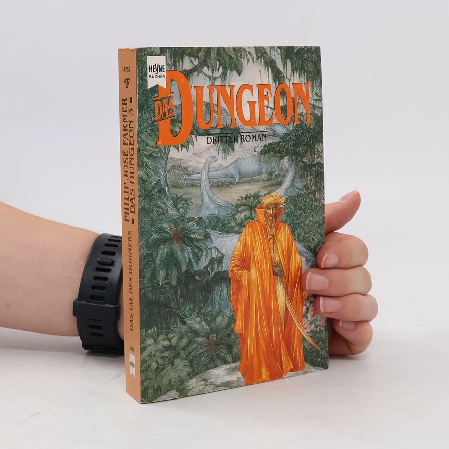Charles de Lint Das Dungeon 3