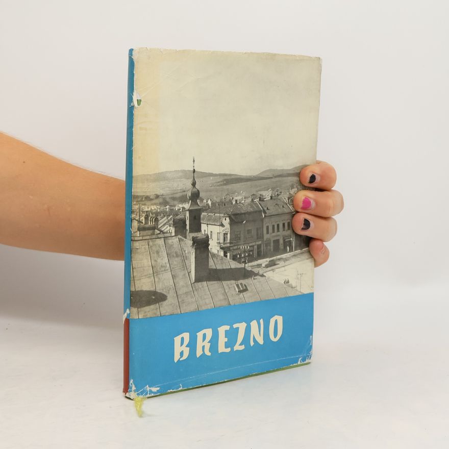 Július Alberty Brezno sedemstoročné