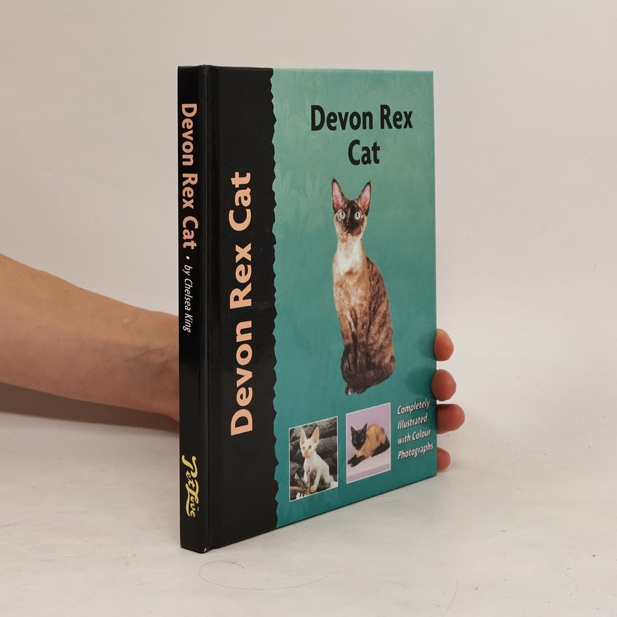 Chelsea King Devon Rex Cat
