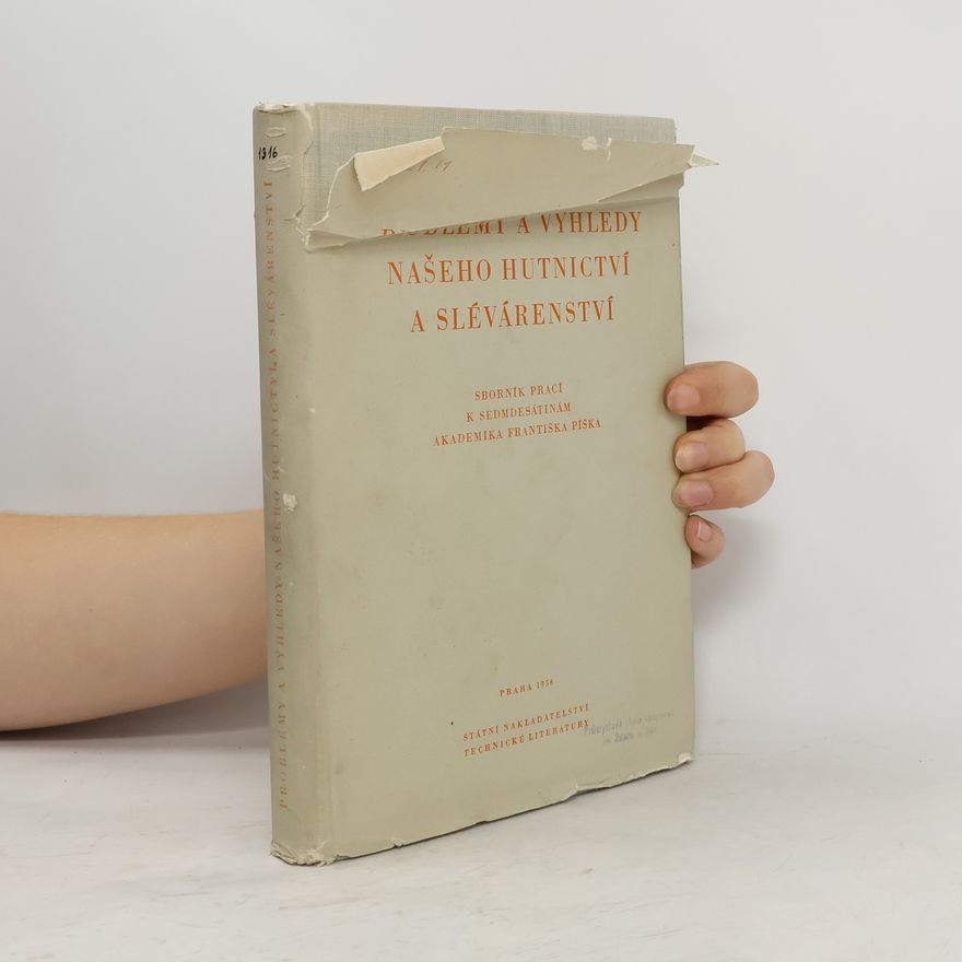 Collectif d'auteurs Problémy a výhledy našeho hutnictví a slévárenství