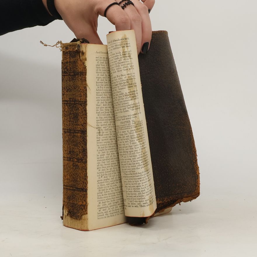 Autorenkollektiv The Holy Bible