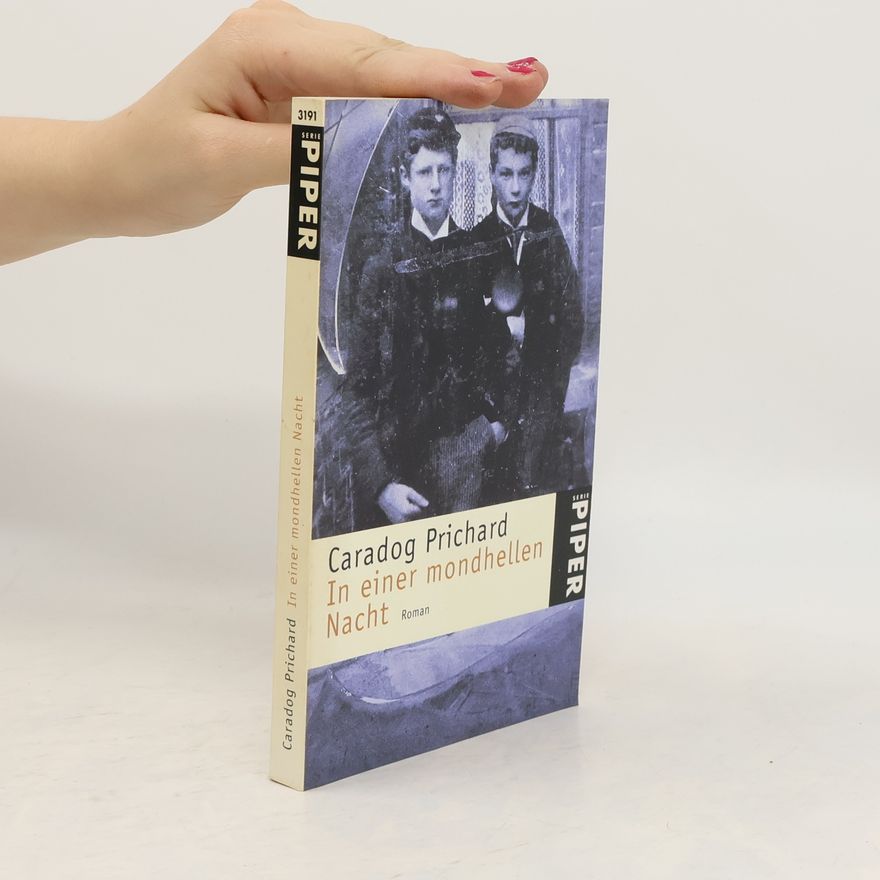 Caradog Prichard In einer mondhellen Nacht
