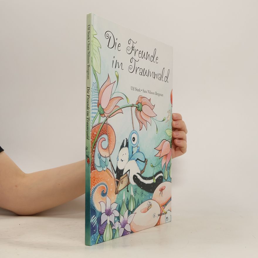 Sara Nilsson Bergman Die Freunde im Traumland
