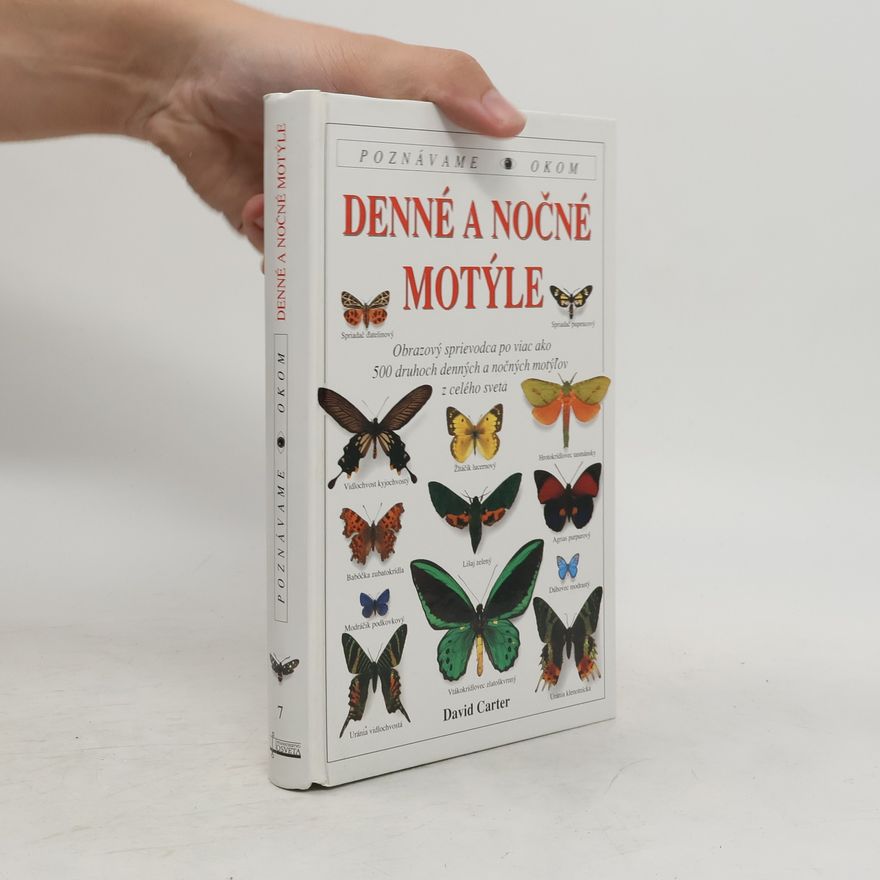David Carter Denné a nočné motýle