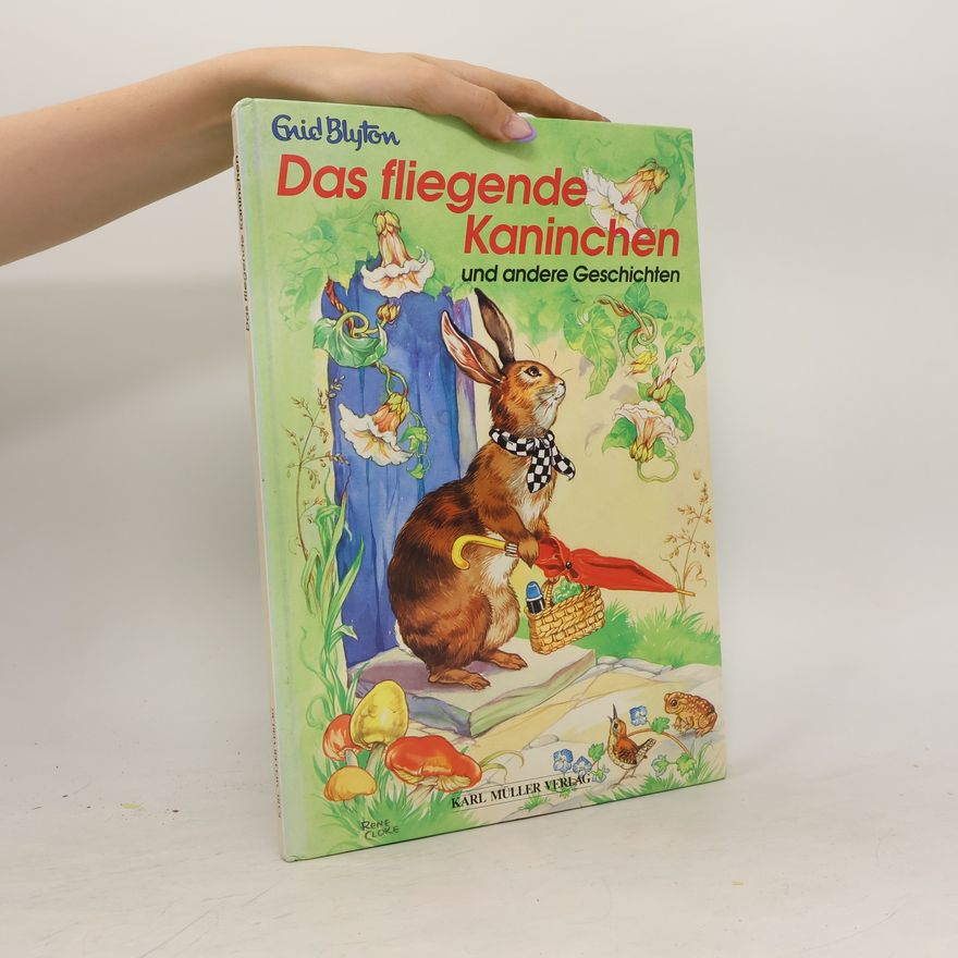 Enid Blyton Das fliegende Kaninchen und andere Geschichten