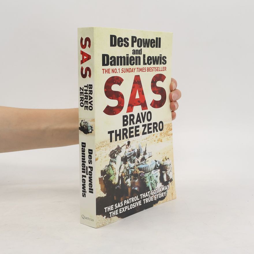 Damien Lewis SAS Bravo Three Zero
