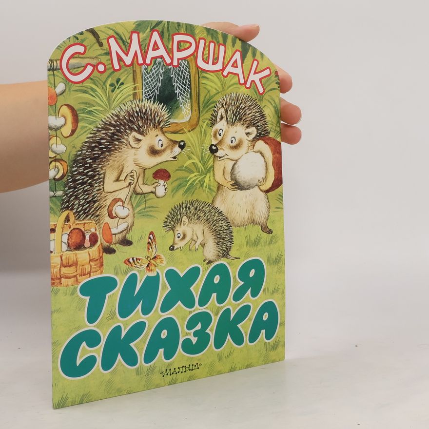Kolektiv autorů Тихая сказка