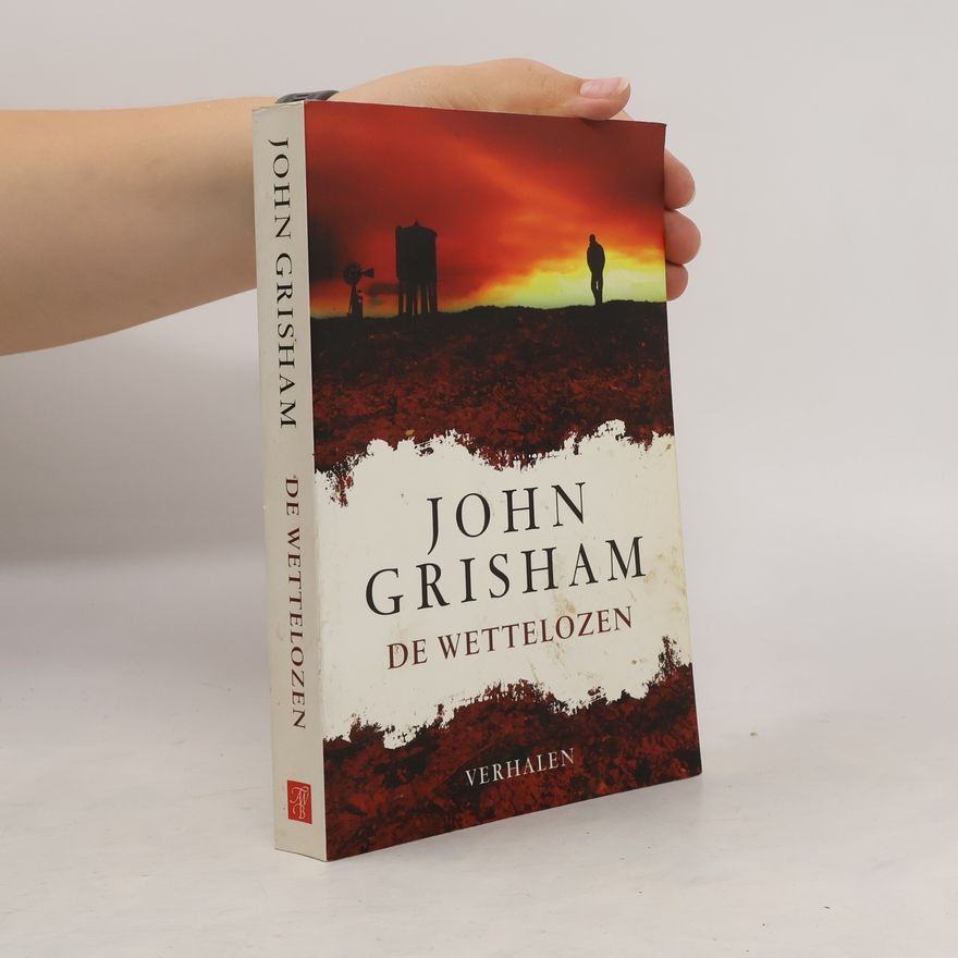 John Grisham De wettelozen