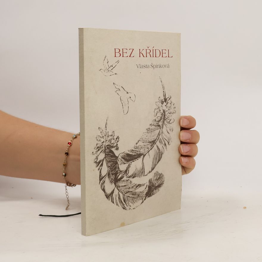 Vlasta Špinková Bez křídel