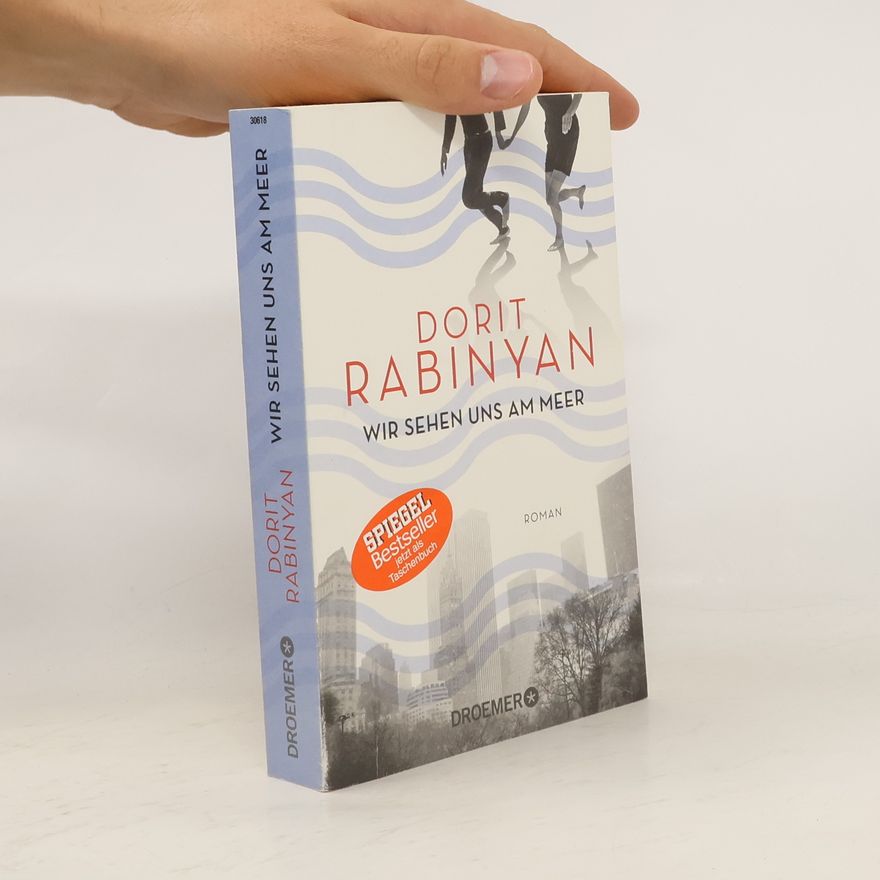 Dorit Rabinyan Wir sehen uns am meer