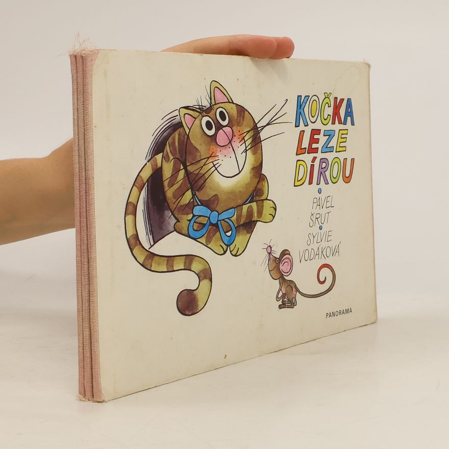 Pavel Šrut Kočka leze dírou