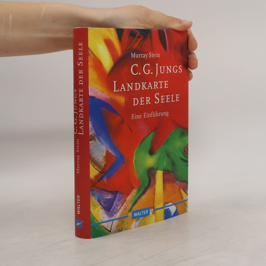 Murray B. Stein C. G. Jungs Landkarte der Seele