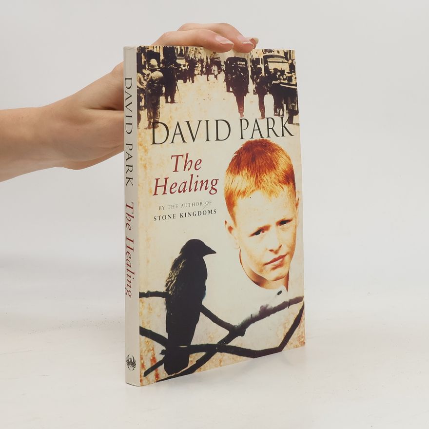 David Park The Healing