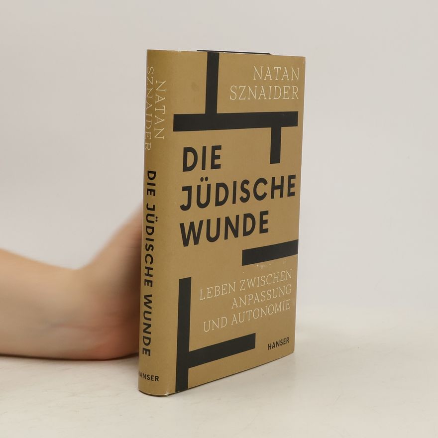 Natan Sznaider Die jüdische Wunde
