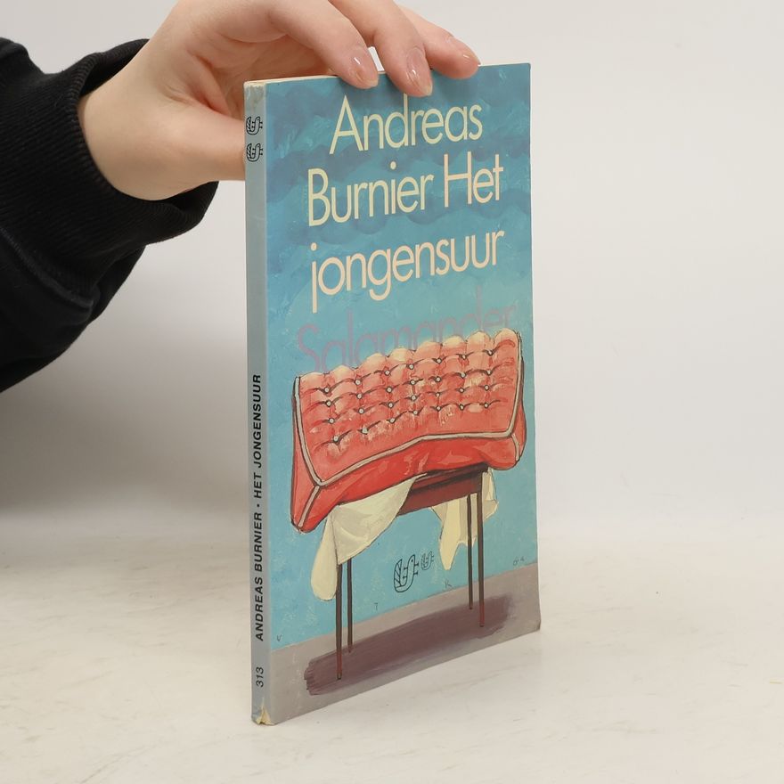 Andreas Burnier Het jongensuur