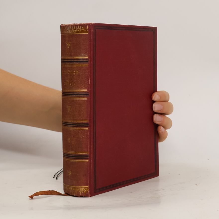 Marie von Bülow Briefe und Schriften VI. Band. Briefe V. Band 1872-1880