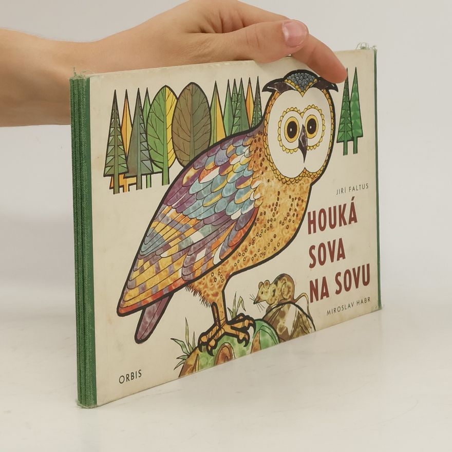 Jiří Faltus Houká sova na sovu