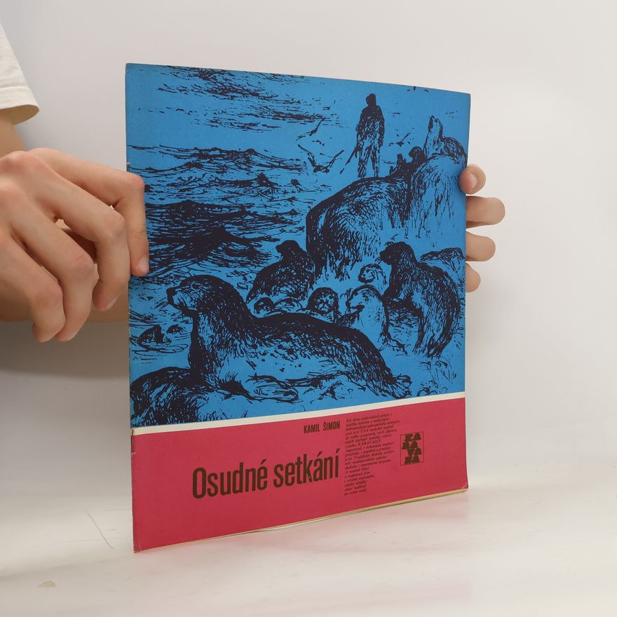 Kamil Šimon Osudné setkání