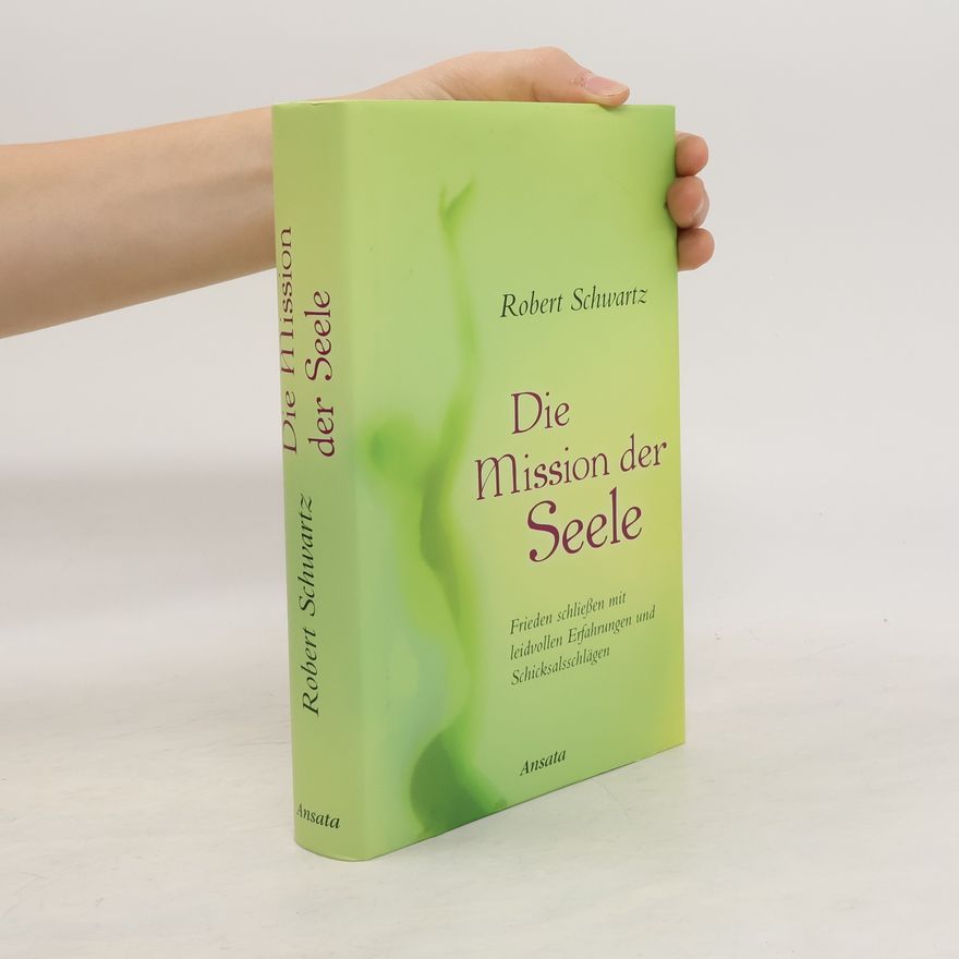Robert Schwartz Die Mission der Seele